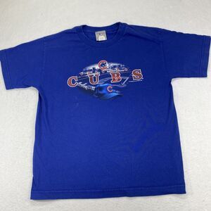 MLB Chicago Cubs Women's Large Short Sleeve Blue Baseball Logo Graphic T Shirt